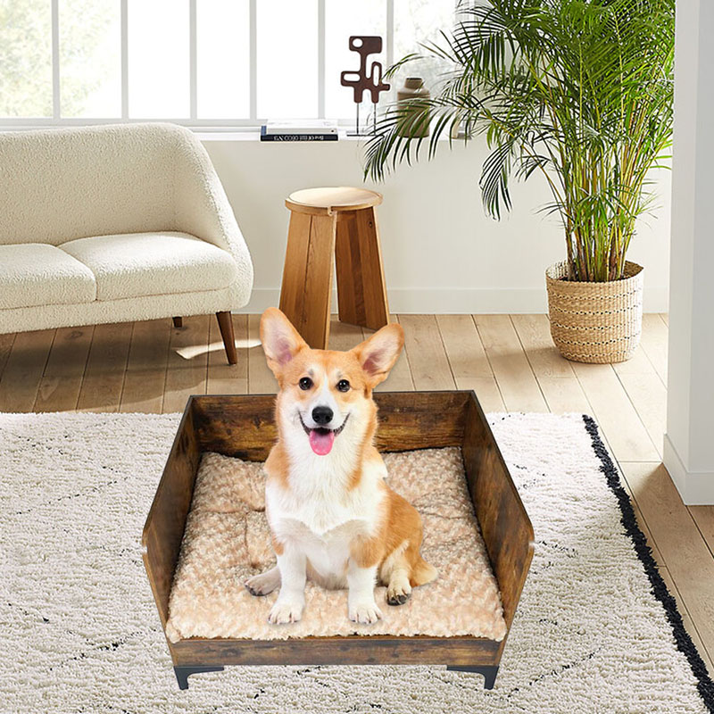 Cama de cachorro elevada de madeira interna moderna com moldura Cama de cachorro elevada de madeira interna moderna com moldura