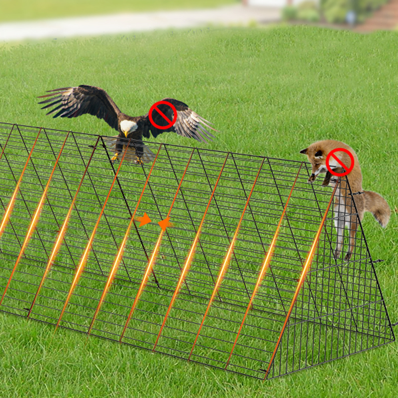 Gaiola de galinheiro de pato grande ao ar livre para quintal Gaiola de galinheiro de pato grande ao ar livre para quintal