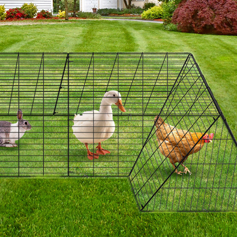 Gaiola de galinheiro de pato grande ao ar livre para quintal Gaiola de galinheiro de pato grande ao ar livre para quintal